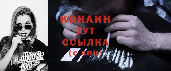 спиды Болотное