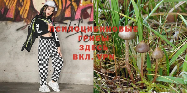 мескалин Зеленокумск