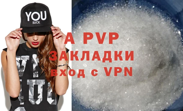 стаф Зерноград
