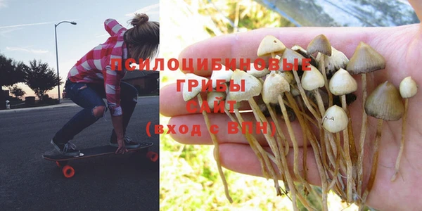 mix Абинск